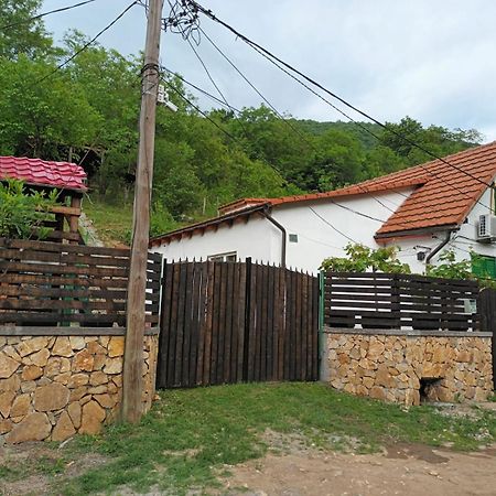 Sasca Montană Andrei 빌라 외부 사진