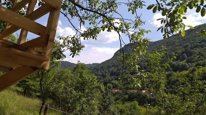 Sasca Montană Andrei 빌라 외부 사진