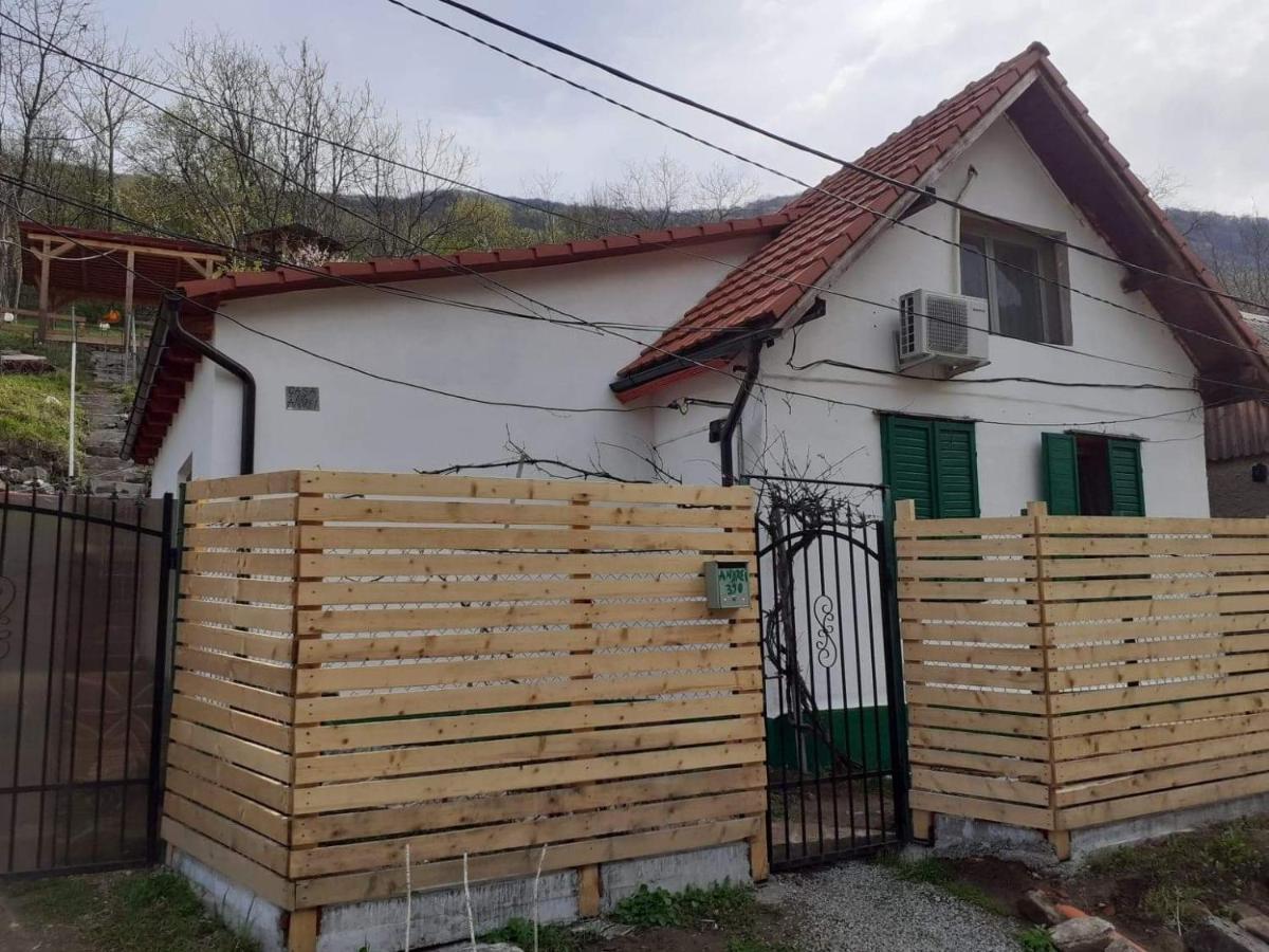 Sasca Montană Andrei 빌라 외부 사진