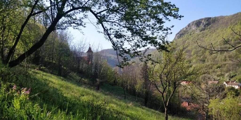 Sasca Montană Andrei 빌라 외부 사진